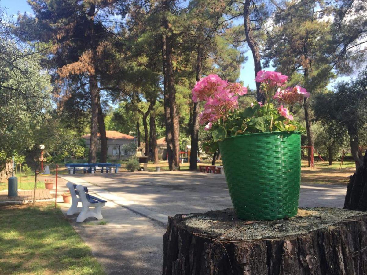 Apartamento Nisteri Seaside Limenas  Exterior foto